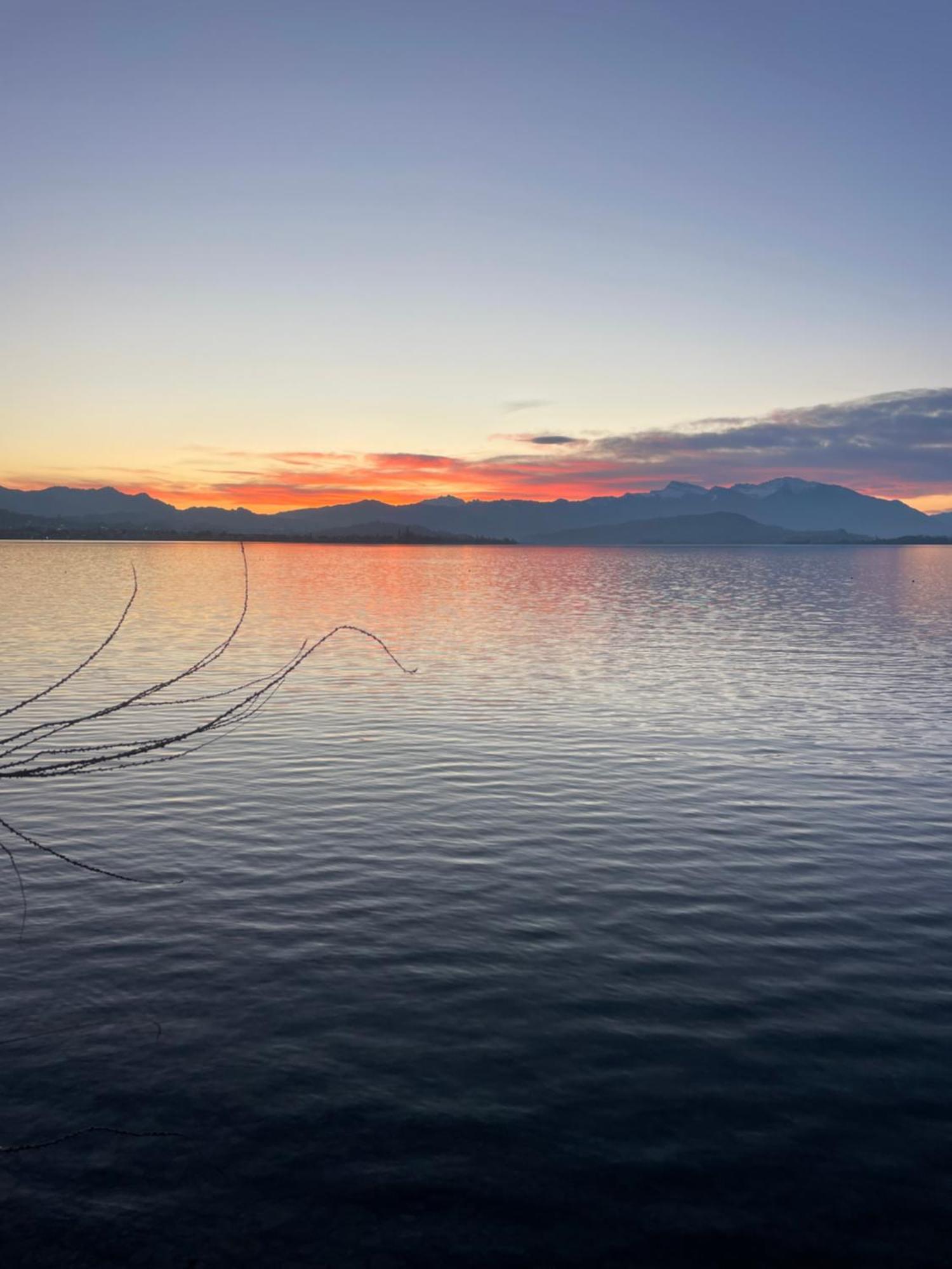 Roessli Hurden Bagian luar foto